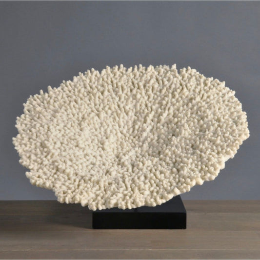 Reproduction décorative d’un corail Acropora blanc sur socle noir – Ateliers Davoy