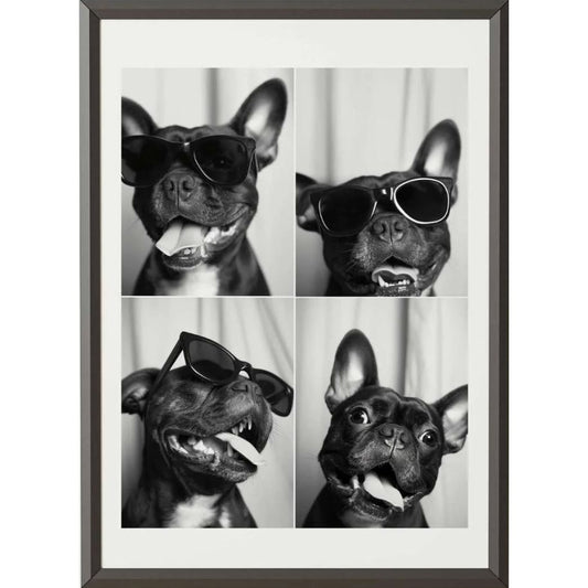 Affiche "Bouledogue Expressions" – Cebo Galerie, quadriptyque en noir & blanc de bouledogue avec lunettes