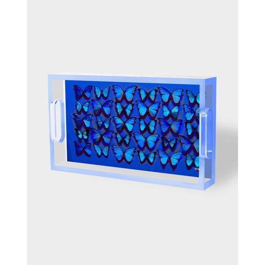 Plateau "Cobalt Midnight Blue" David Stesner – papillons bleus sur fond cobalt en acrylique transparent