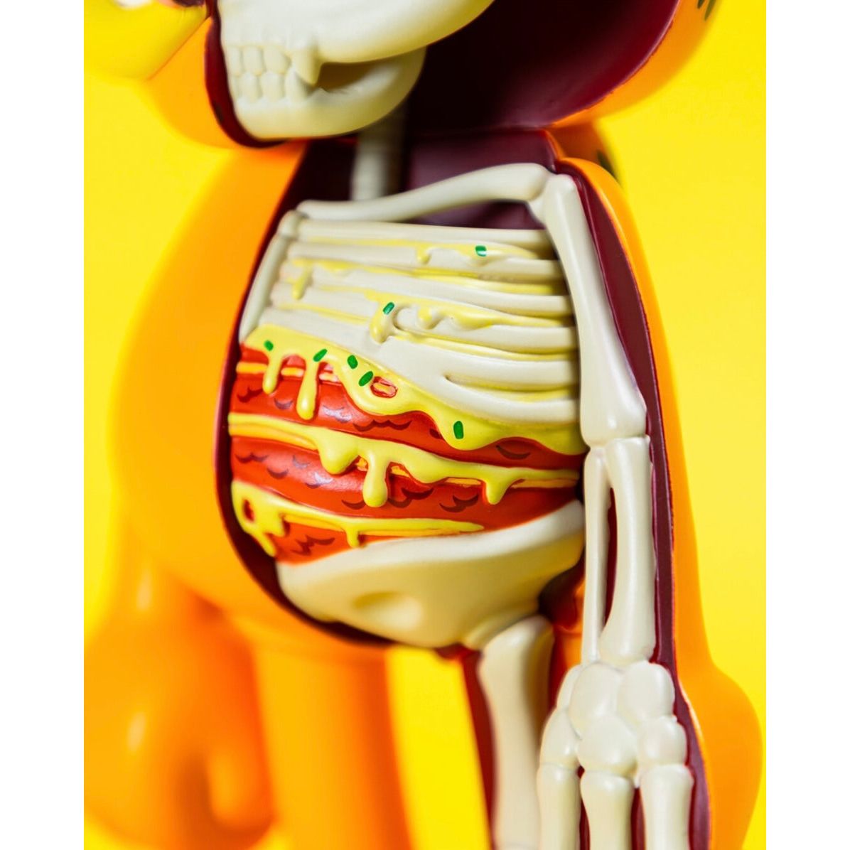 Figurine XXRAY Plus Garfield moitié cartoon, moitié coupe anatomique, avec squelette et lasagnes visibles