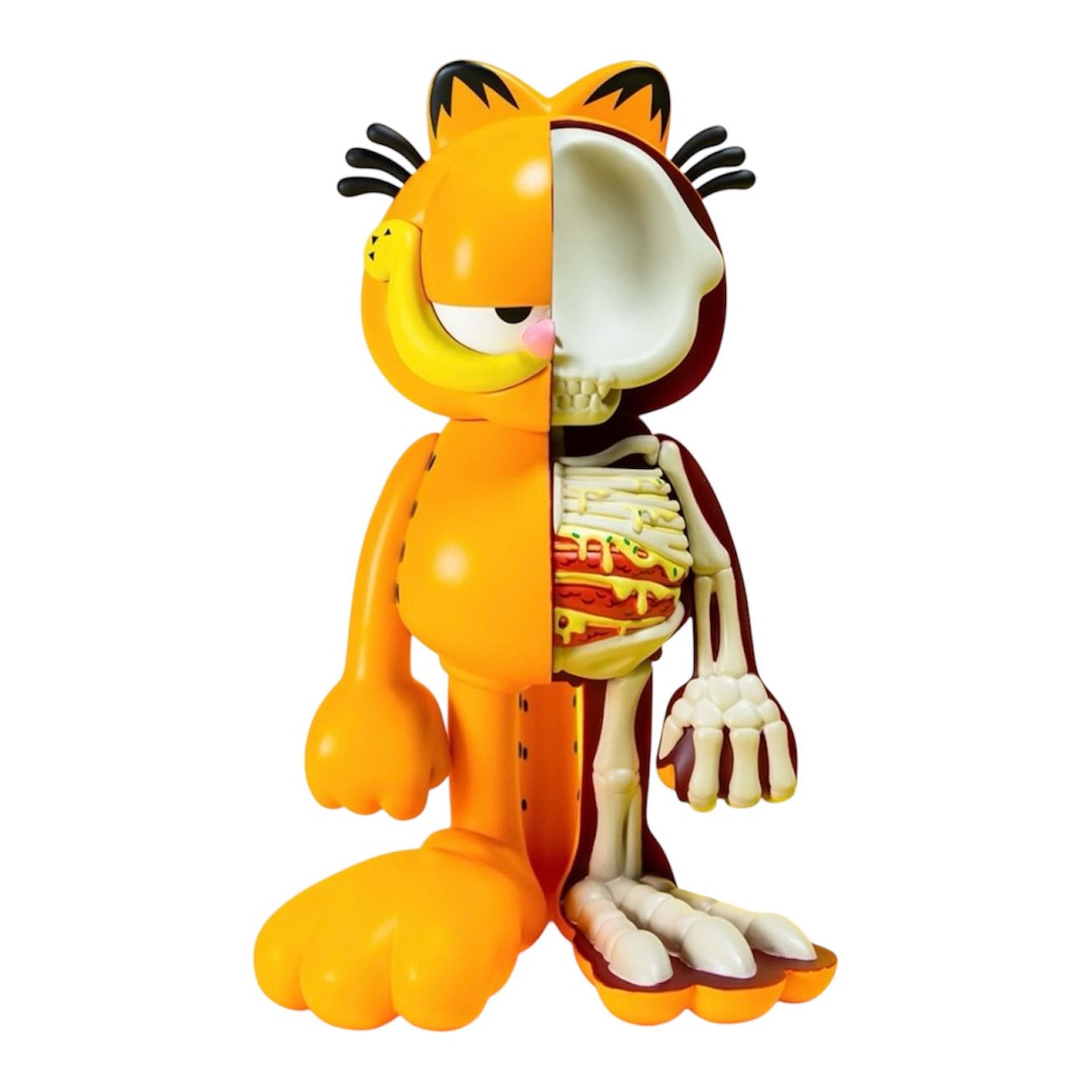 Figurine XXRAY Plus Garfield moitié cartoon, moitié coupe anatomique, avec squelette et lasagnes visibles