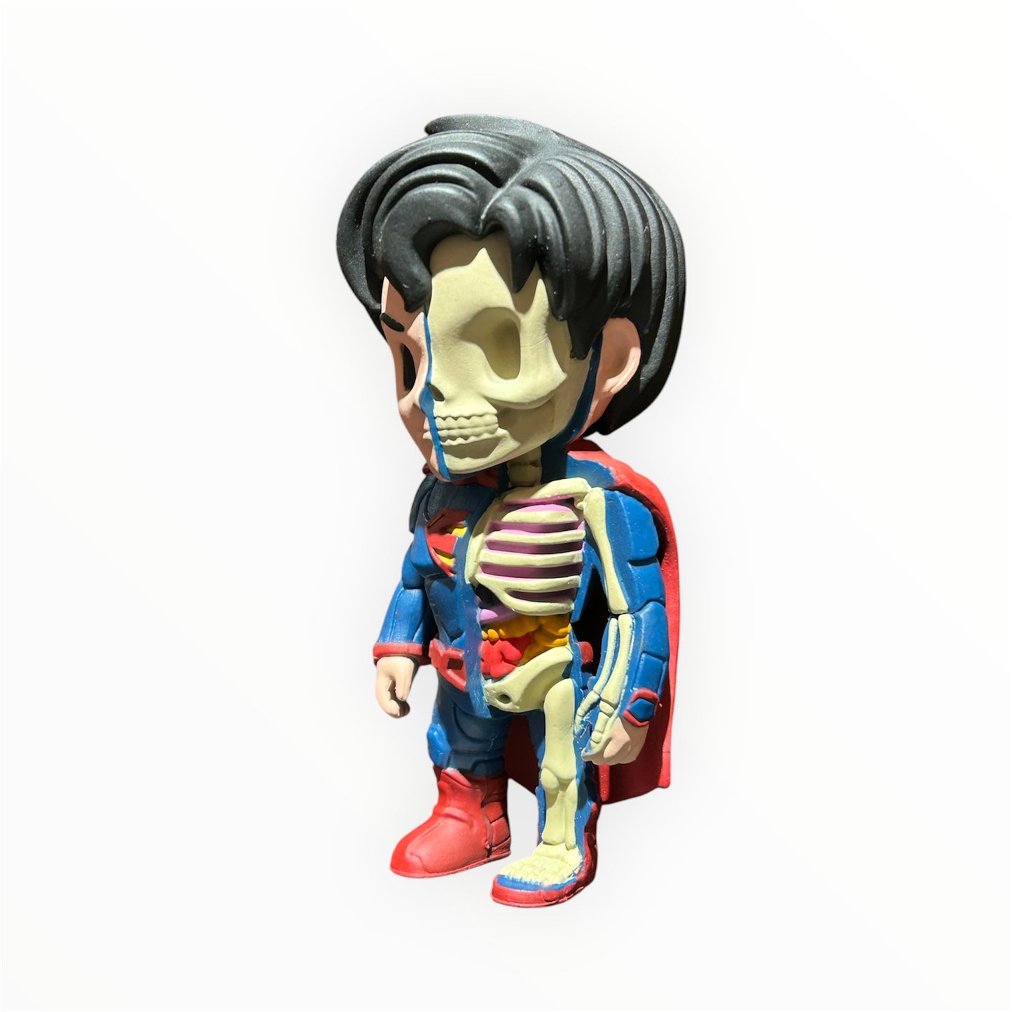 Figurine XXRAY Superman moitié super-héros classique, moitié squelette anatomique détaillé
