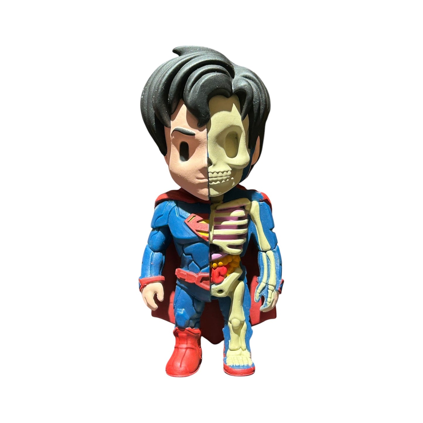 Figurine XXRAY Superman moitié super-héros classique, moitié squelette anatomique détaillé