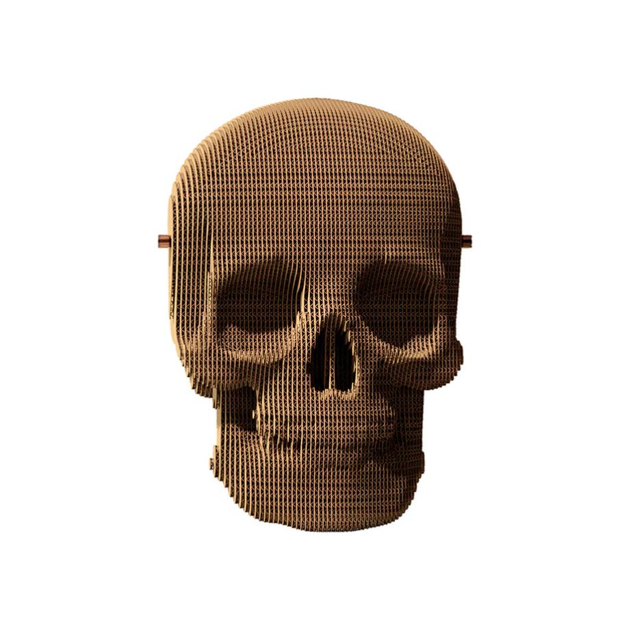 Puzzle 3D Crâne humain en carton recyclé – Sculpture Skull par Cartonic