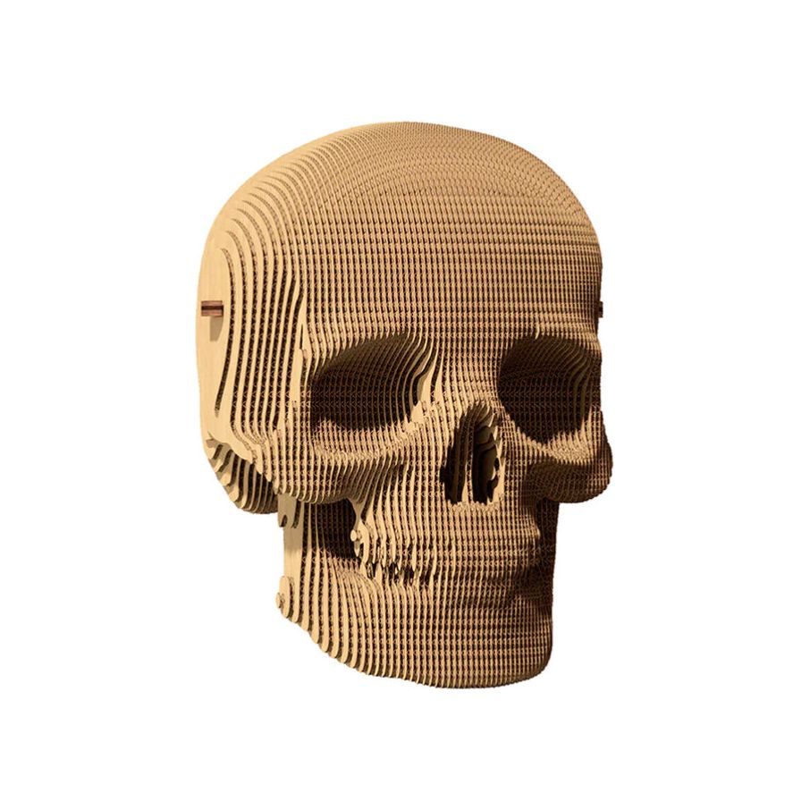 Puzzle 3D Crâne humain en carton recyclé – Sculpture Skull par Cartonic