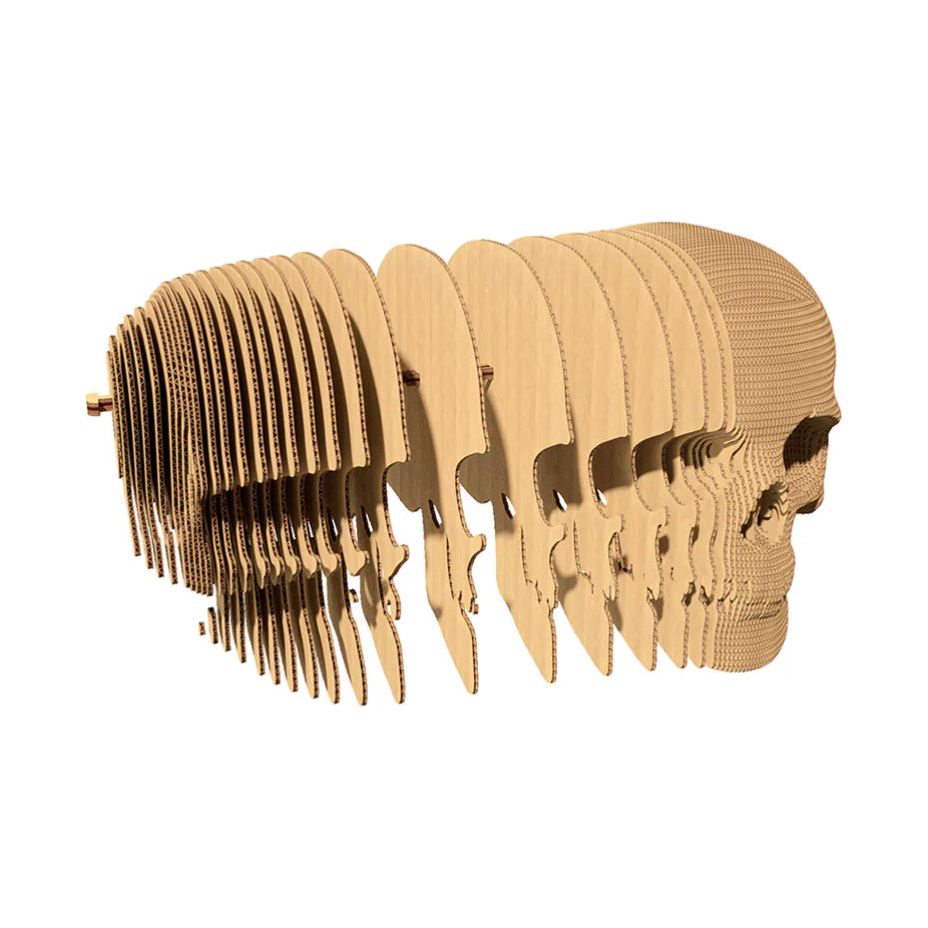 Puzzle 3D Crâne humain en carton recyclé – Sculpture Skull par Cartonic
