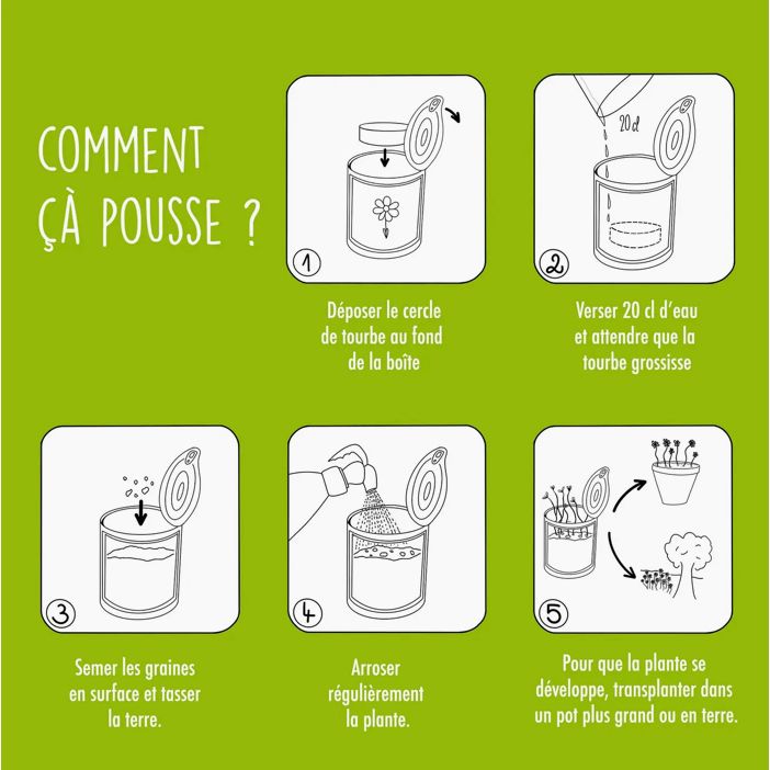 Kit à semer “Amour” – Graines de Trèfle en boîte – Mauvaises Graines - Boutique Ømm