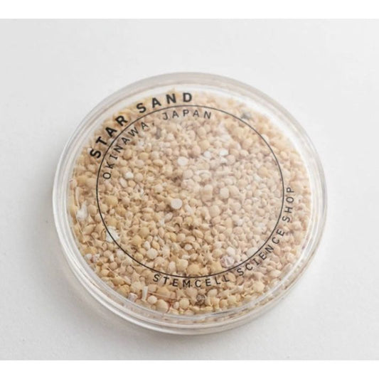 Sable étoilé d’Okinawa – Fossiles marins miniatures - Boutique Ømm