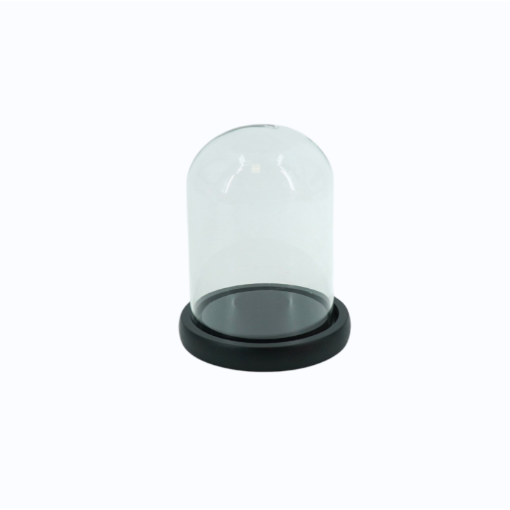 – Cloche décorative verre bois Housevitamin 15 cm
– Cloche en verre avec socle bois noir décoration
– Cloche déco transparente pour exposition objets