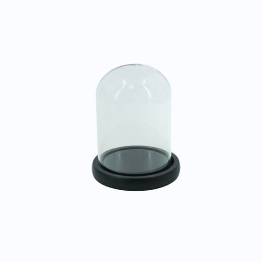 – Cloche décorative verre bois Housevitamin 15 cm
– Cloche en verre avec socle bois noir décoration
– Cloche déco transparente pour exposition objets