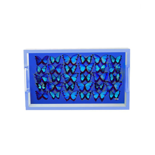 Plateau "Cobalt Midnight Blue" David Stesner – papillons bleus sur fond cobalt en acrylique transparent