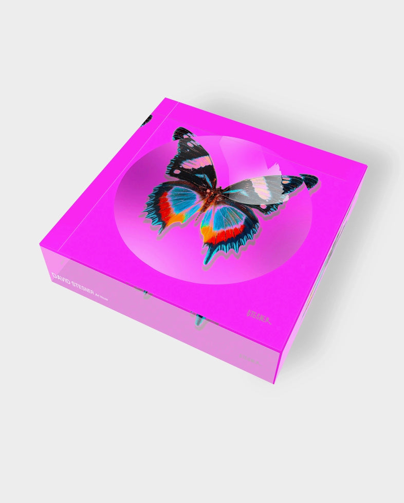 Vide-poche "Rose Flutter" David Stesner – papillon coloré sur fond rose néon en acrylique transparent