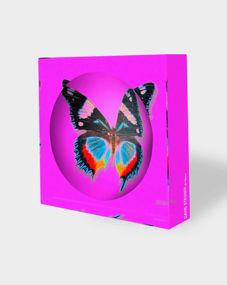 Vide-poche "Rose Flutter" David Stesner – papillon coloré sur fond rose néon en acrylique transparent