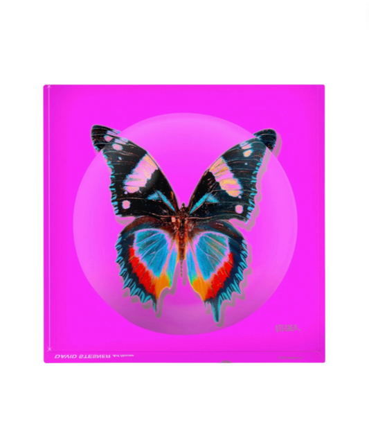 Vide-poche "Rose Flutter" David Stesner – papillon coloré sur fond rose néon en acrylique transparent