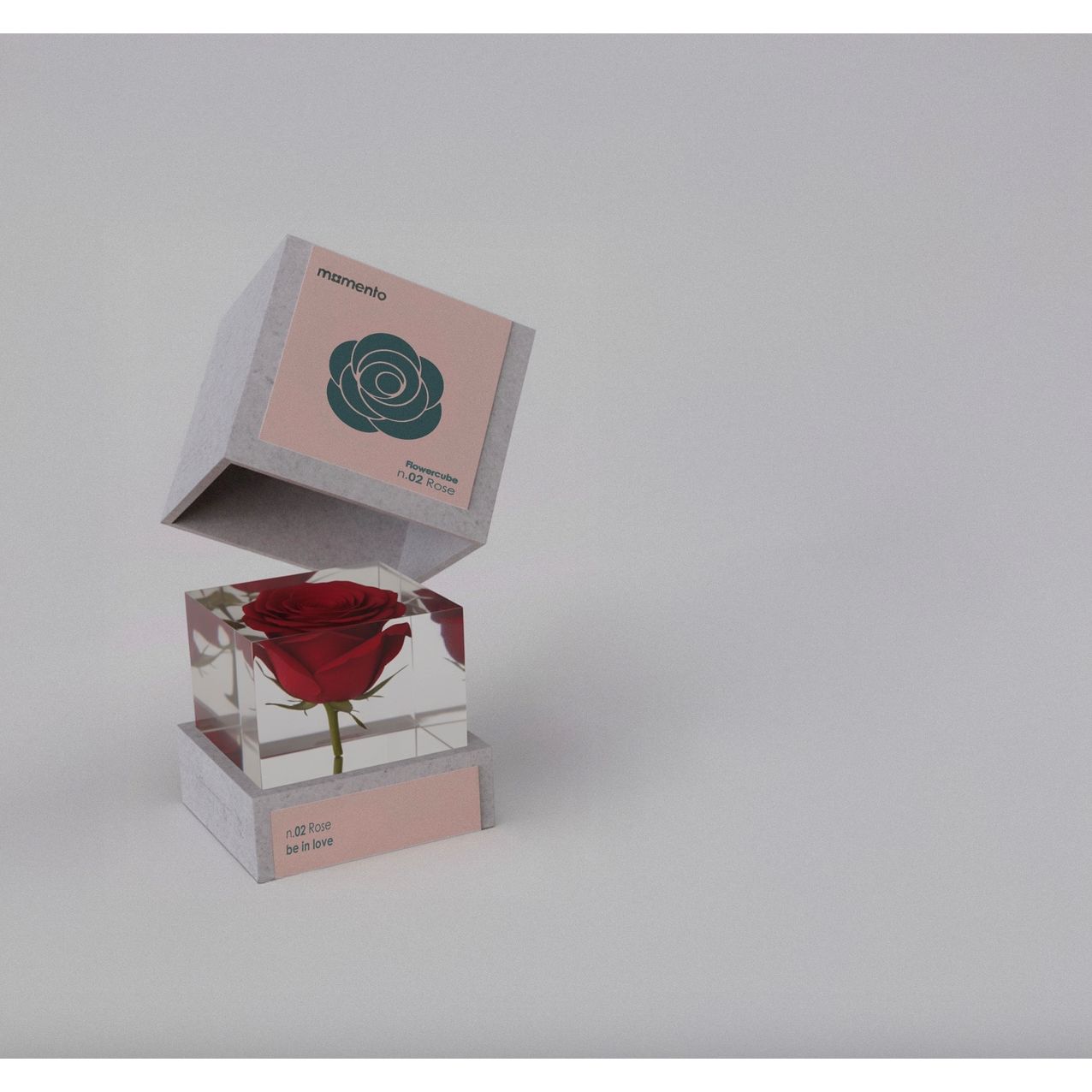 Cube MOMENTO avec rose rouge stabilisée – modèle Être Amoureux – L10 Brand EU