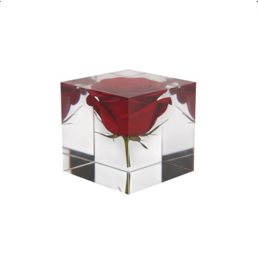 Cube MOMENTO avec rose rouge stabilisée – modèle Être Amoureux – L10 Brand EU