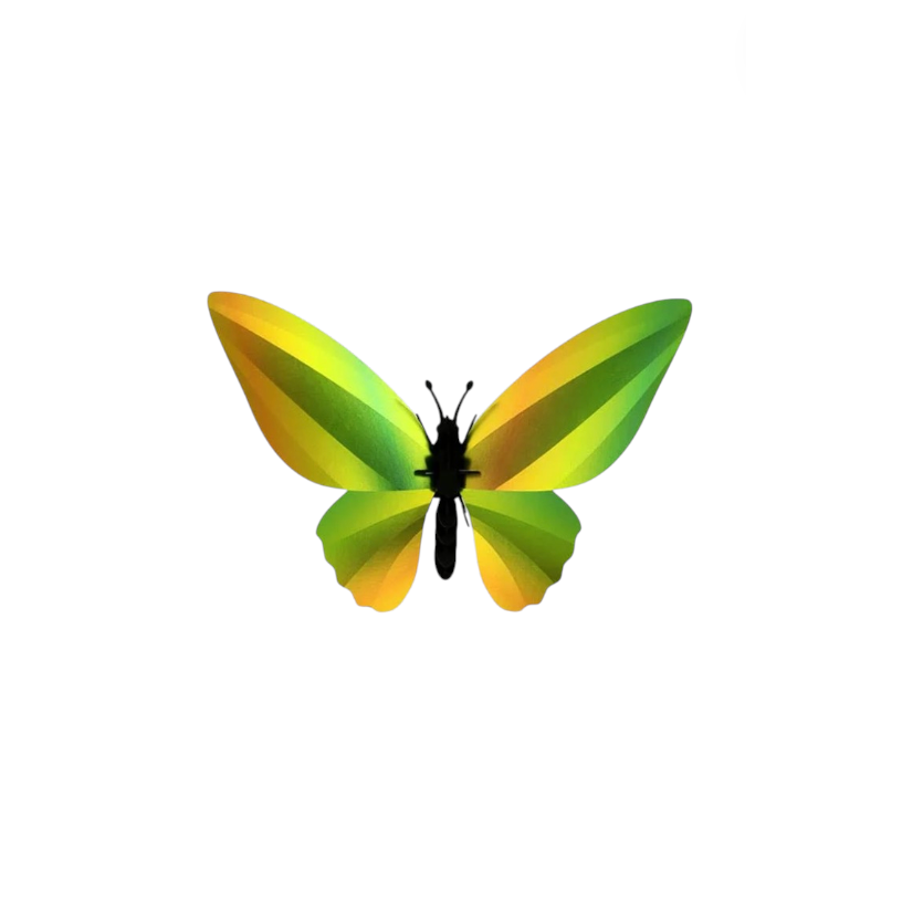 Papillon Aile d'Oiseau 3D Assembli en papier aux dégradés de vert, jaune et orange à assembler soi-même
