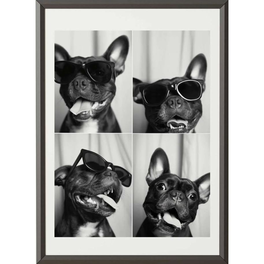 Affiche "Bouledogue Expressions" – Cebo Galerie – Format 50x70 cm - Boutique Ømm