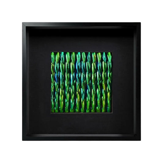 Cadre Ailes de Scarabée – Art Naturel aux Reflets Iridescents