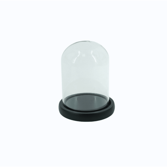 Cloche décorative verre & bois 15 cm – Housevitamin - Boutique Ømm