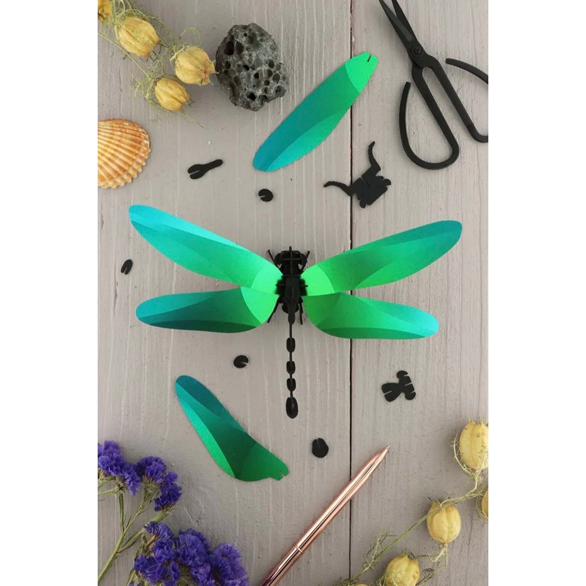 Libellule Anisoptera 3D en papier à assembler de la marque Assembli