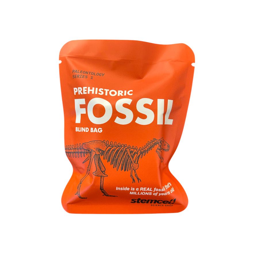 Pochette surprise “Prehistoric Fossil” – Fossile authentique – Stemcell Science Shop - Boutique Ømm