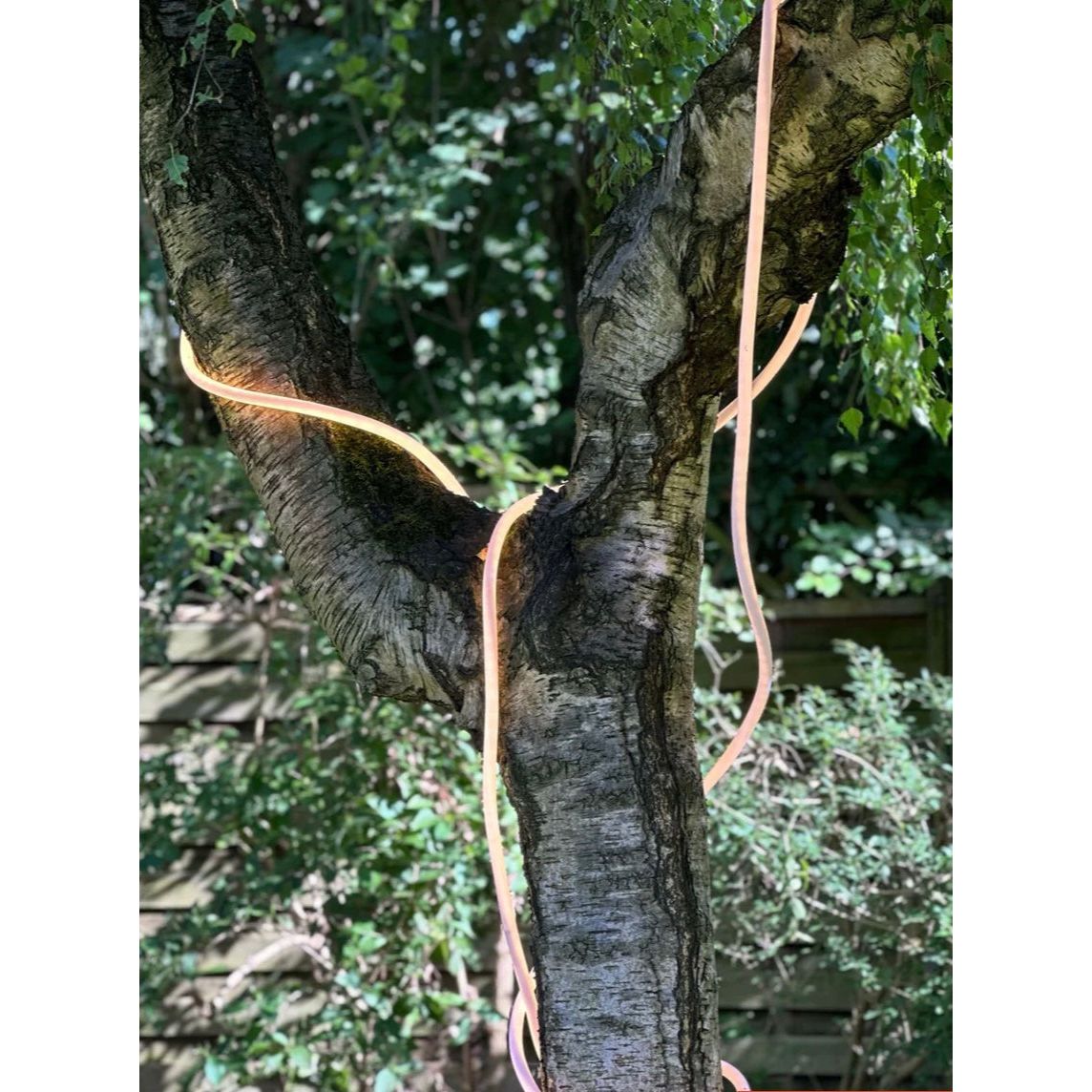 Tube LED flexible 5m – Blanc chaud – Studio About - Boutique Ømm